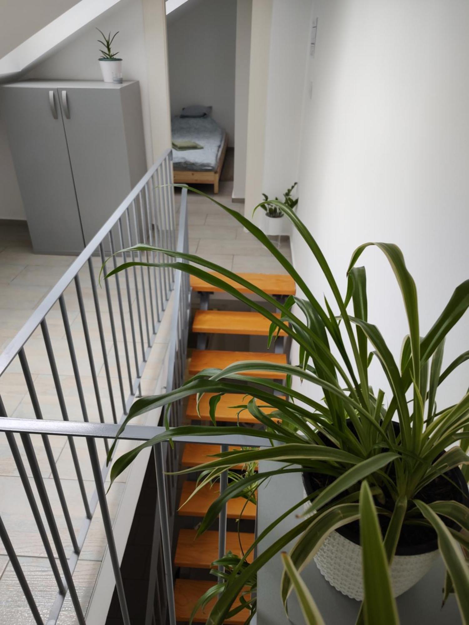 Twowheels Apartment - Apartment With Bicycles Novi Sad Quarto foto